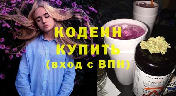 ешки Бородино