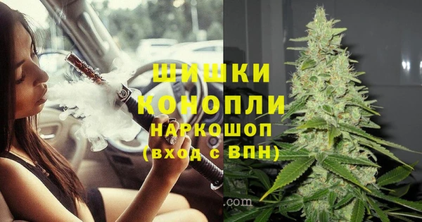МДПВ Верея