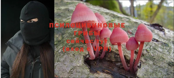 а пвп мука Верхний Тагил